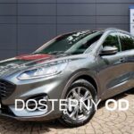 Stef-pol 12V/24V 25A EST 308