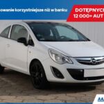 Stanlab Boraks Czteroboran Sodu Dziesięciowodny 1 Kg