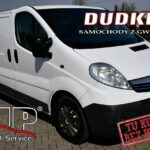 FIAT DUCATO Furgon (250_, 290_) 100 Multijet 2,2 D